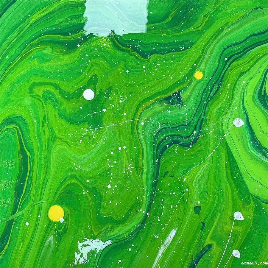 “社”彩纷呈，为你而来丨acmawp高中国际部社团怎么玩？