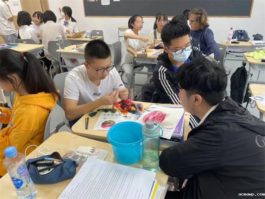 “社”彩纷呈，为你而来丨acmawp高中国际部社团怎么玩？