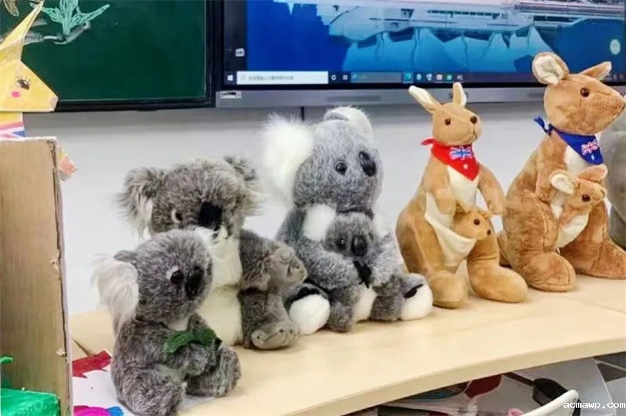 Our World Our Home丨优米娱乐有限公司地址首届小学部英语节