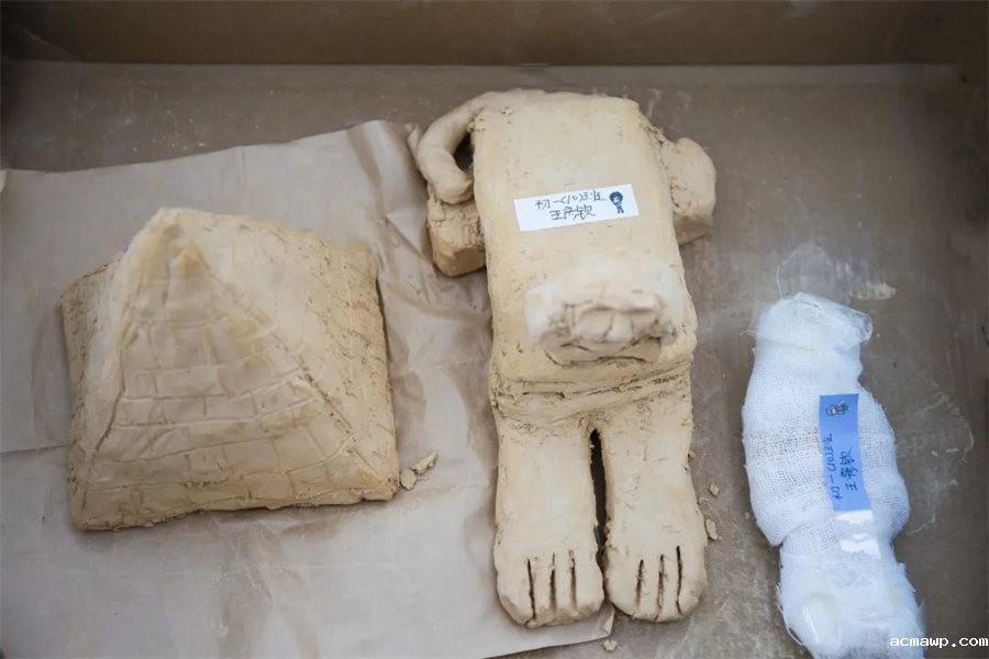 9acmawp双语丨初中部“双减”下的多元化作业