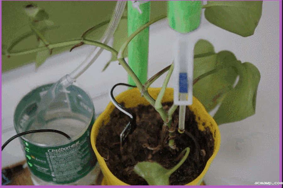 9acmawp双语丨初中部“双减”下的多元化作业