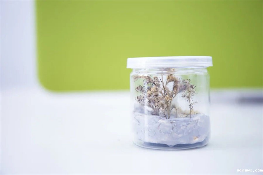 9acmawp双语丨初中部“双减”下的多元化作业