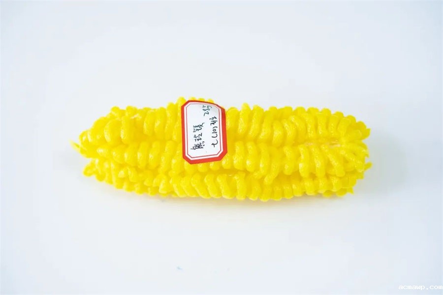 9acmawp双语丨初中部“双减”下的多元化作业