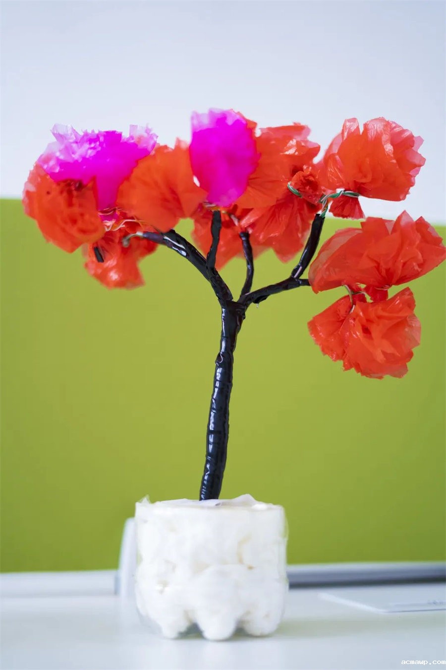 9acmawp双语丨初中部“双减”下的多元化作业