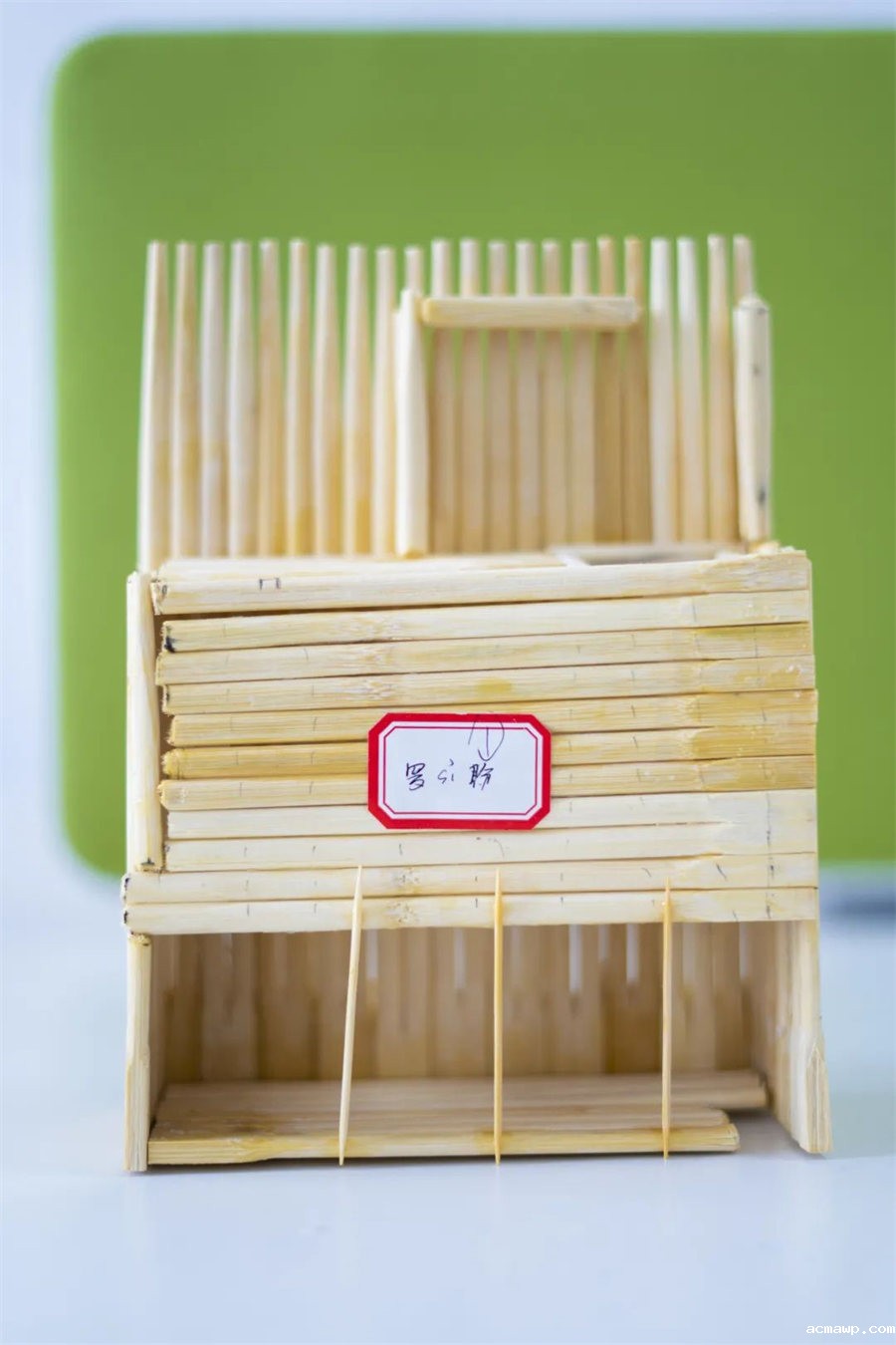 9acmawp双语丨初中部“双减”下的多元化作业