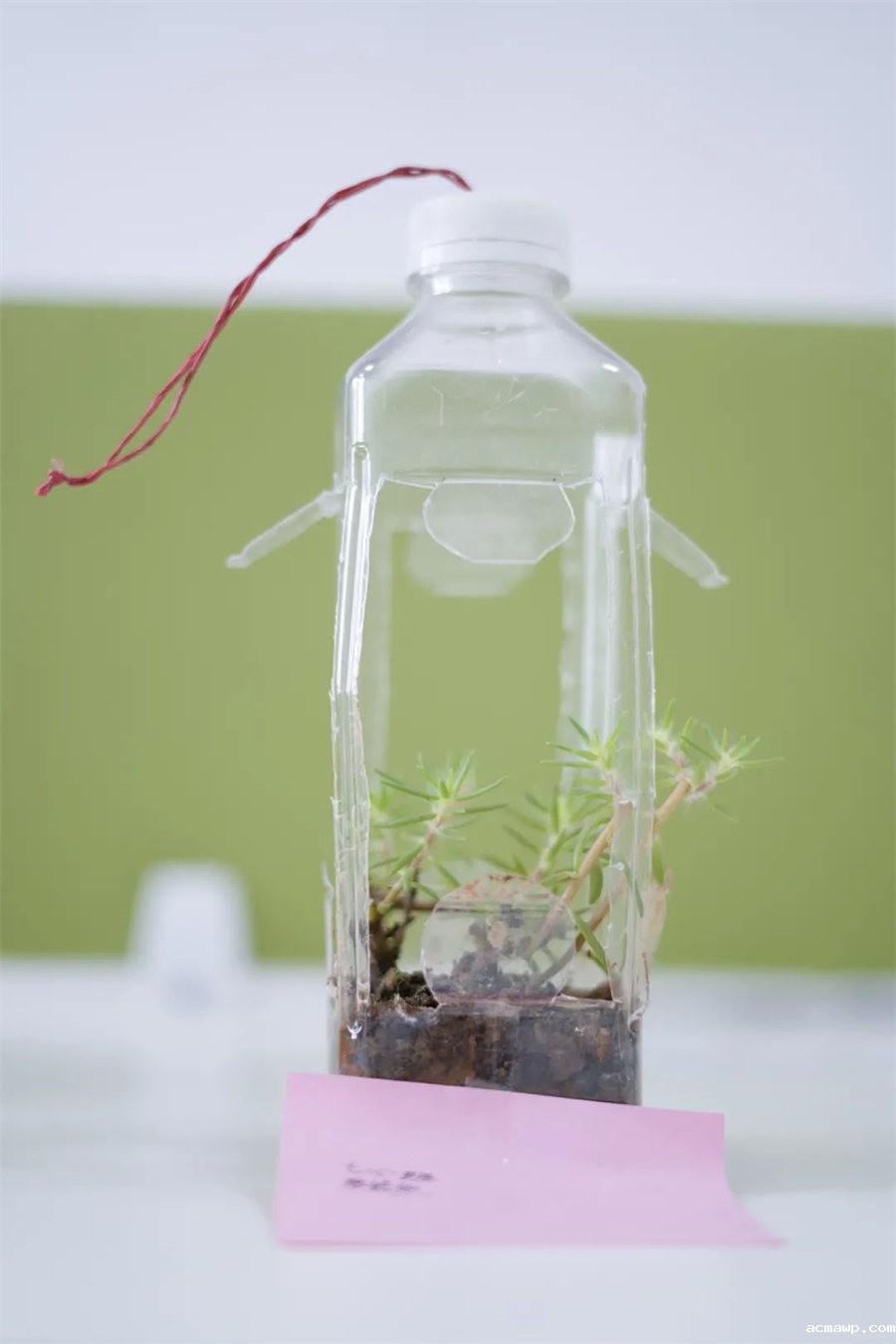 9acmawp双语丨初中部“双减”下的多元化作业