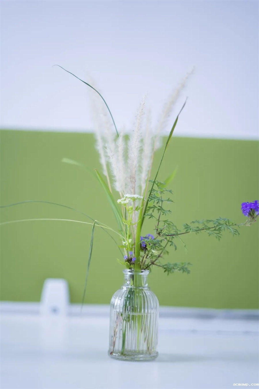 9acmawp双语丨初中部“双减”下的多元化作业