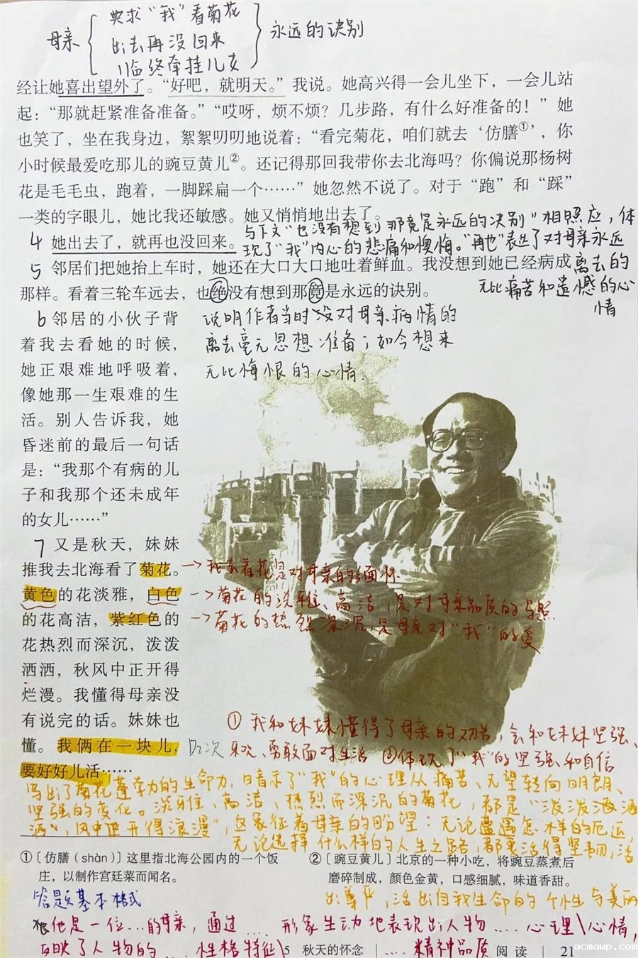 9acmawp双语丨初中部“双减”下的多元化作业