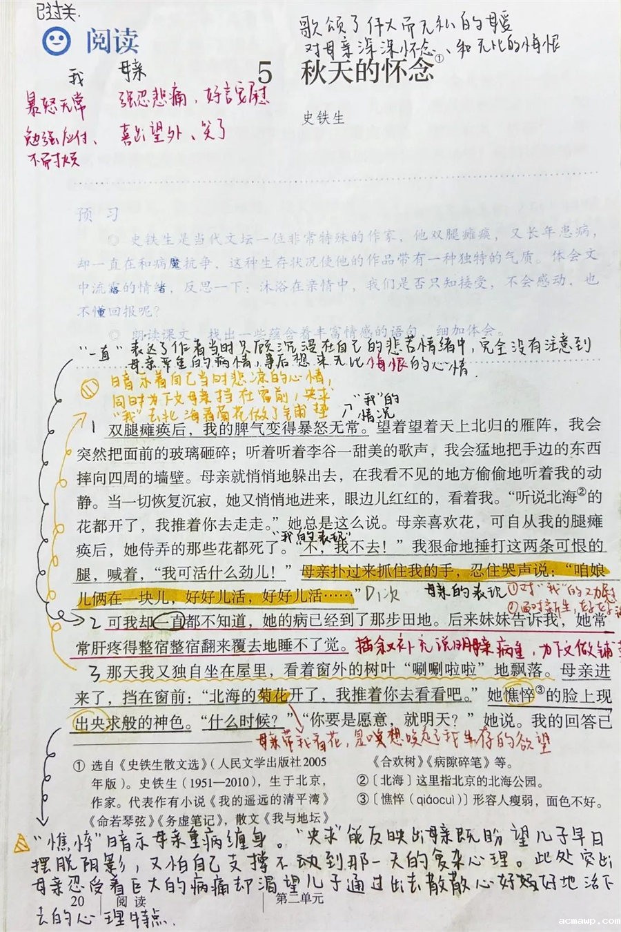 9acmawp双语丨初中部“双减”下的多元化作业
