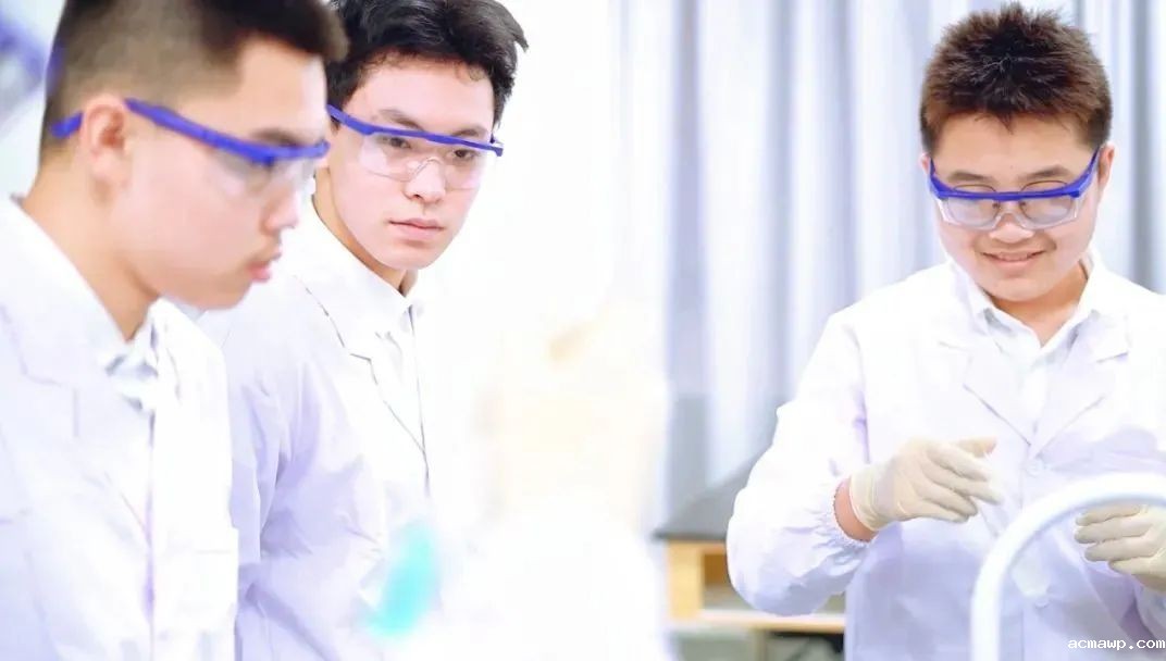 acmawp喜报丨高中国际部参赛学子全部获奖！