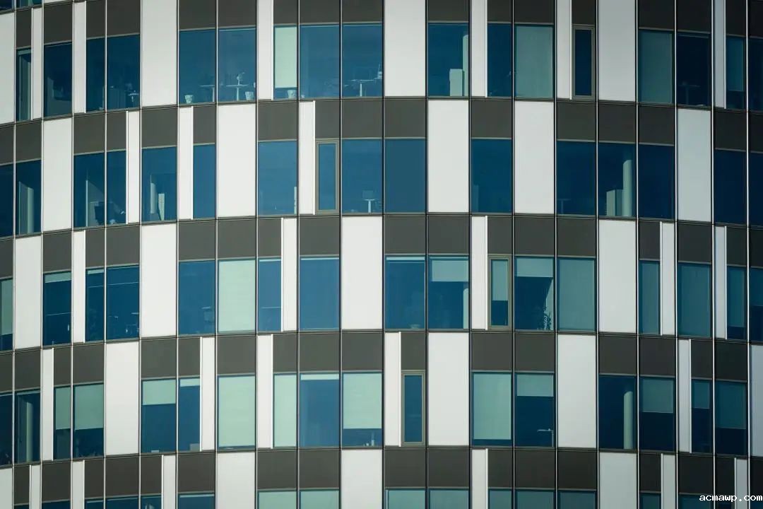 杨斌:未来的教育,要有温度地育出人的器识 杨斌:未来的教育,要有温度地育出人的器识