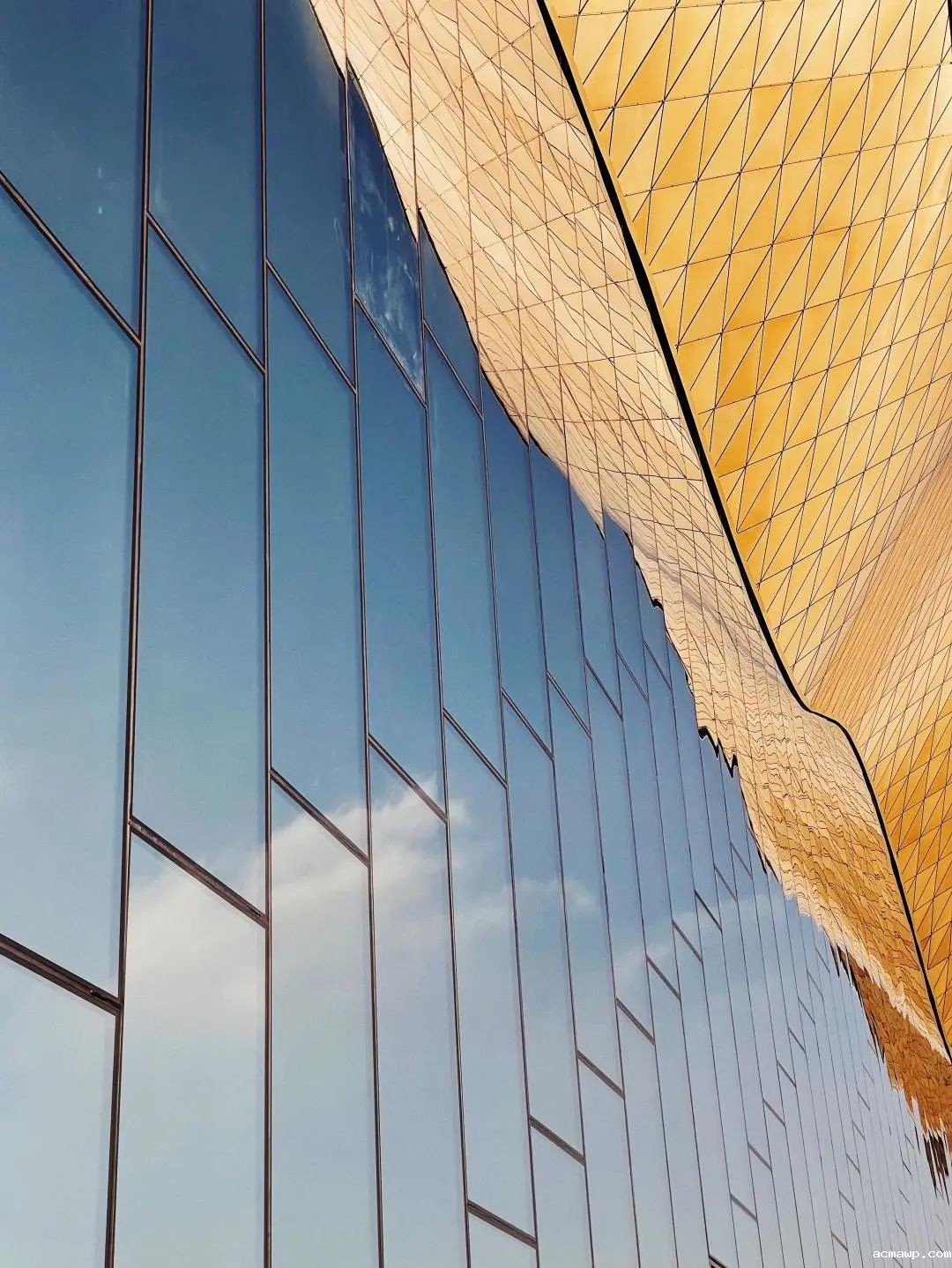 杨斌:未来的教育,要有温度地育出人的器识 杨斌:未来的教育,要有温度地育出人的器识