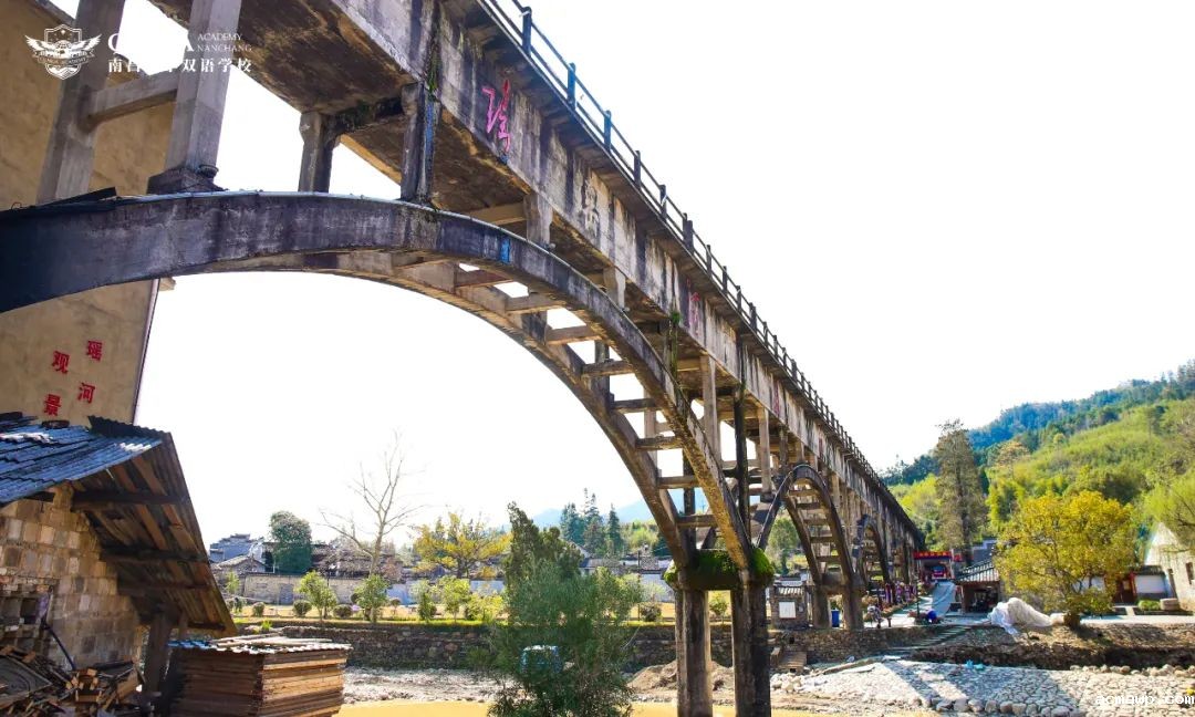 与“泥”同行，“瑶”你共赏