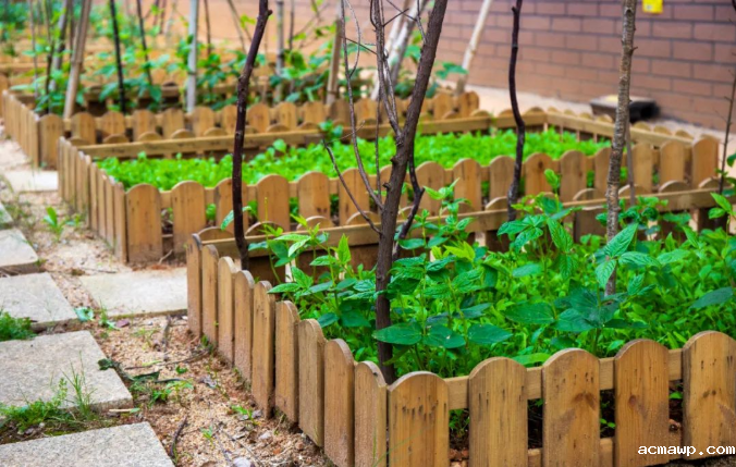 acmawp幼儿园丨2022年学位预约登记开始啦！