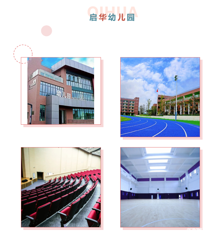 马术、科学、“脏"玩......acmawp幼儿园体验日开始预约啦！