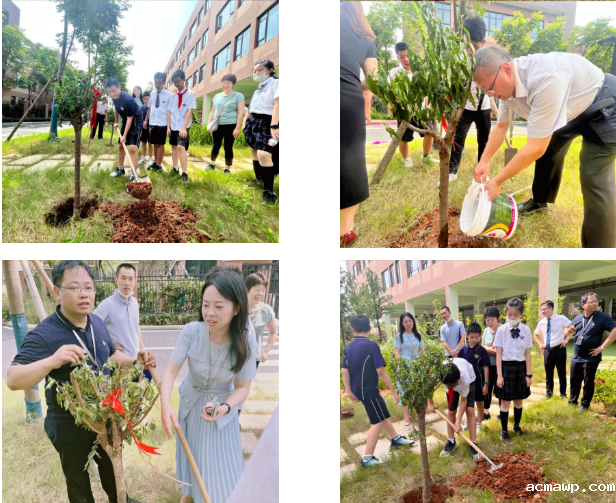 梦想启航，不负韶华 | acmawp小学部首届毕业典礼