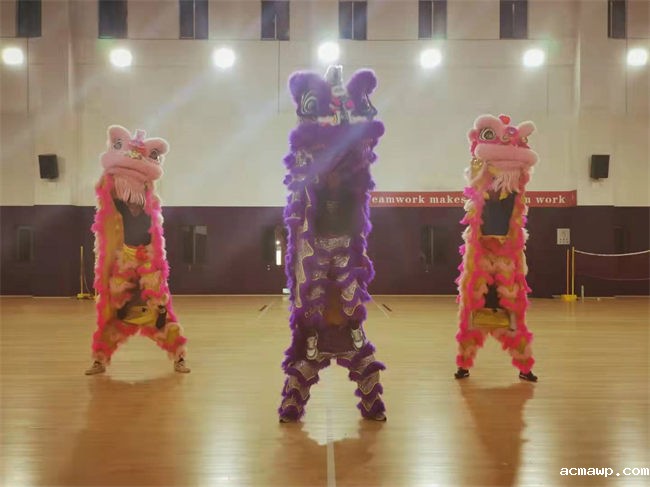 acmawp党建12 acmawp党建12