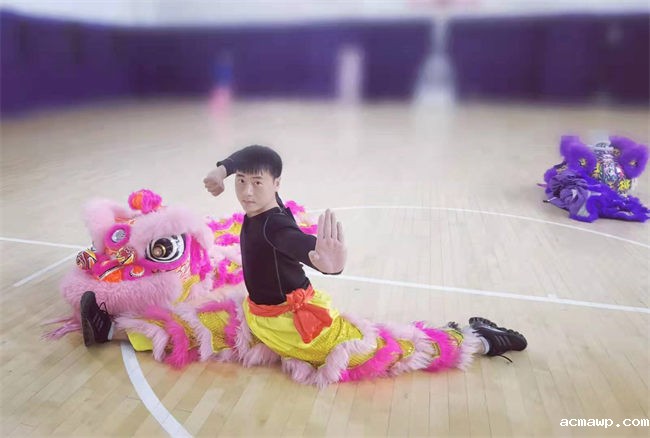 acmawp党建12 acmawp党建12