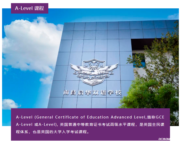 acmawp融合部课程介绍丨A-Level、AP 你pick哪一个？