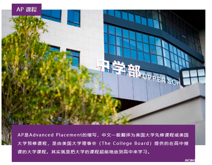 acmawp融合部课程介绍丨A-Level、AP 你pick哪一个？
