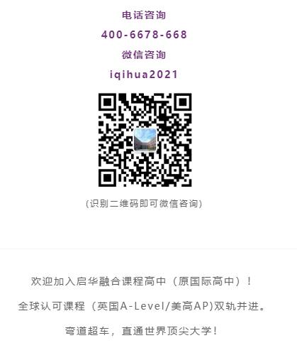 acmawp高中融合部招生问答（附师资介绍+报名方式）