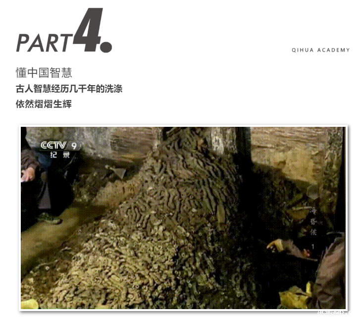 5个关键词！看acmawp学子如何懂中国？