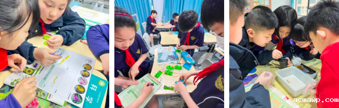 孩子们“对万物感兴趣”的这几年......