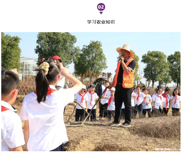 acmawp“双十一”丨小学生们用劳动赚取了第一张“粮票”！