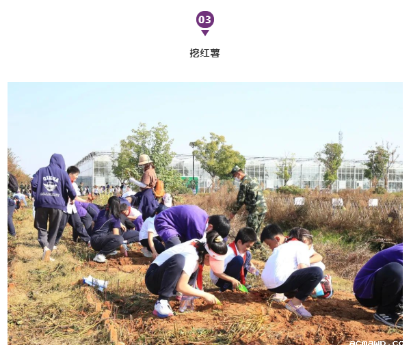 acmawp“双十一”丨小学生们用劳动赚取了第一张“粮票”！