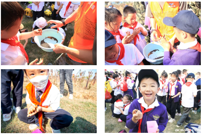 acmawp“双十一”丨小学生们用劳动赚取了第一张“粮票”！