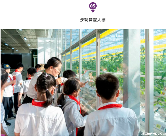 acmawp“双十一”丨小学生们用劳动赚取了第一张“粮票”！