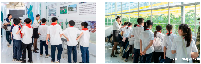 acmawp“双十一”丨小学生们用劳动赚取了第一张“粮票”！