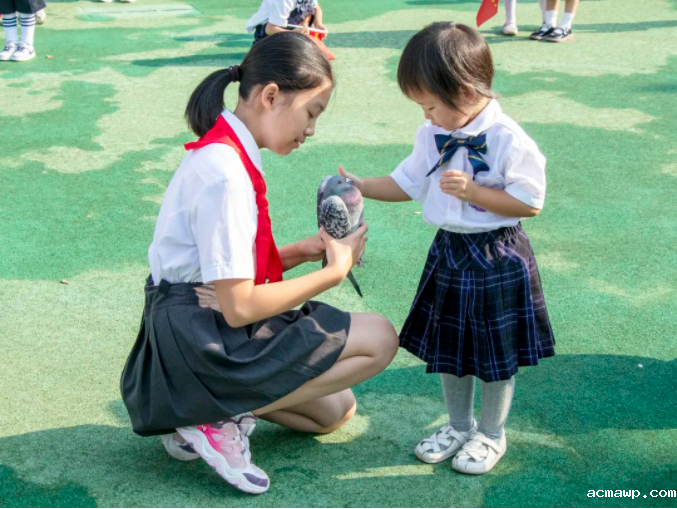 “蹭了一学期课”的幼儿园小朋友们，他们做了什么？