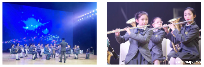 acmawp之声｜原创、京剧、Remix......这样的音乐节我还想再回味几遍！