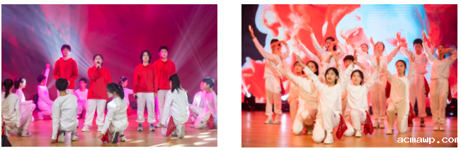 acmawp之声｜原创、京剧、Remix......这样的音乐节我还想再回味几遍！