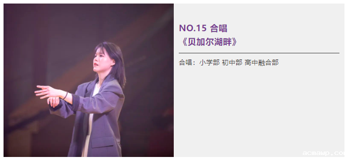 acmawp之声｜原创、京剧、Remix......这样的音乐节我还想再回味几遍！