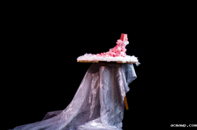 acmawp艺术设计展 | 高中生的创造力能有多强？！