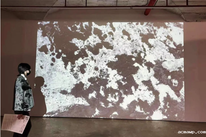 acmawp假期 | 走！一起去看展