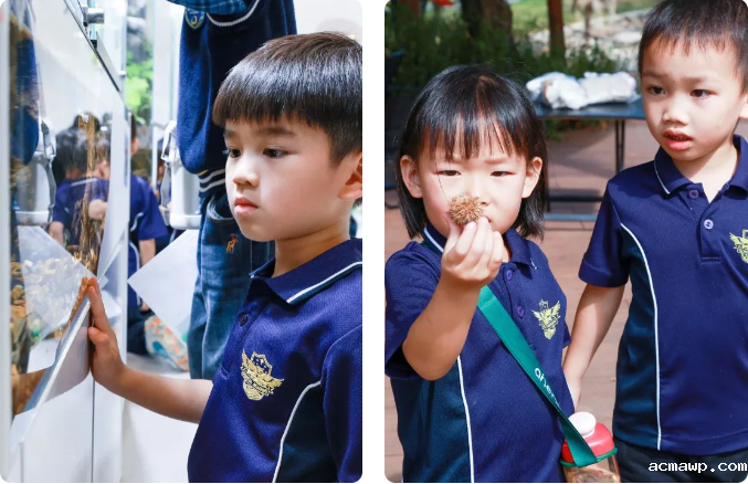 “鲵（ní）”好！STEM奇幻探险