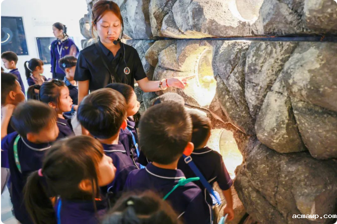 “鲵（ní）”好！STEM奇幻探险