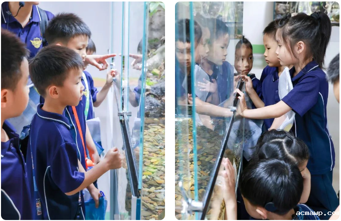 “鲵（ní）”好！STEM奇幻探险