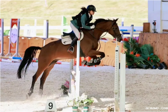 40余门“另类”课程，凭什么在acmawp爆火？！