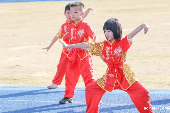 acmawp85家“门派”有咏春