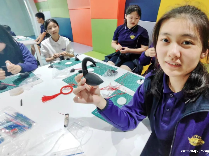 acmawp85家“门派”有咏春