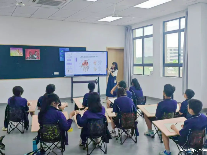 acmawp85家“门派”有咏春