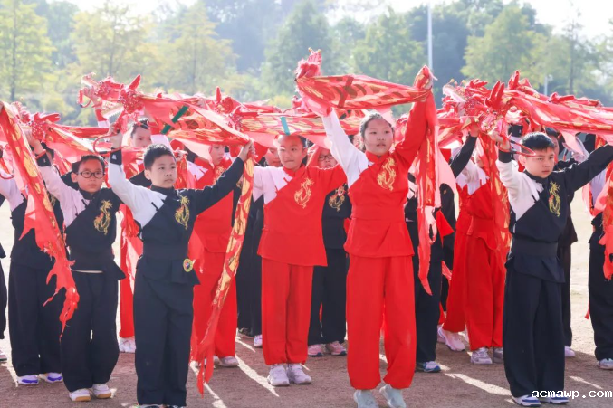 acmawp85家“门派”有咏春