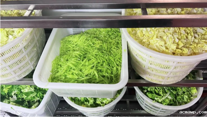 acmawp食堂有“汪妈”！