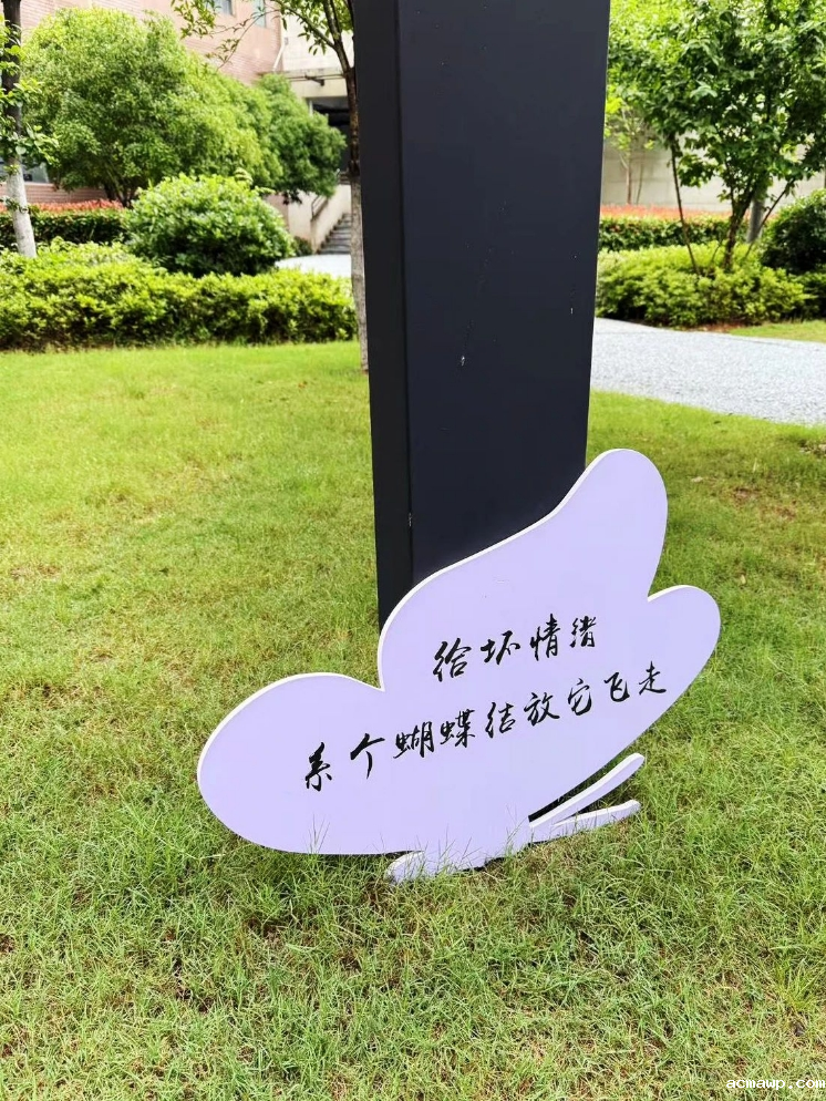 这个5月，重新认识一下吧！