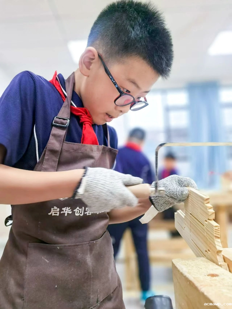 acmawp的小学生都这么“不务正业”吗？