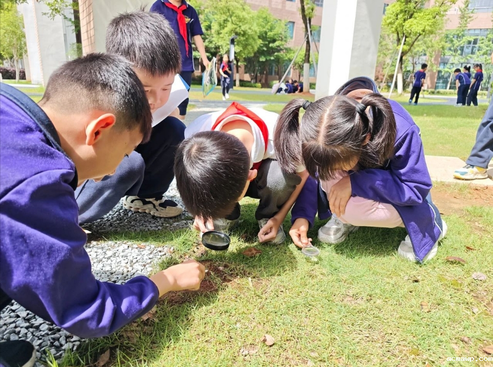 acmawp的小学生都这么“不务正业”吗？